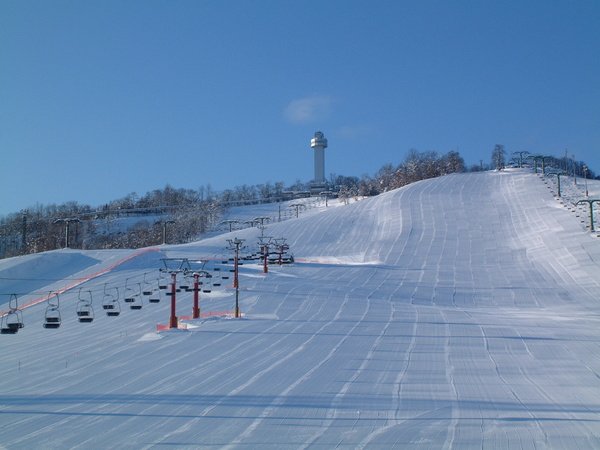 🎅 산타 선물 공원(산타 프레젠트 파크) 이미지 1